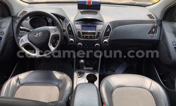 Buy Used Hyundai Tucson Brown Car in Douala in Littoral Cameroon Buy Used Hyundai Tucson Brown Car in Douala in Littoral Cameroon