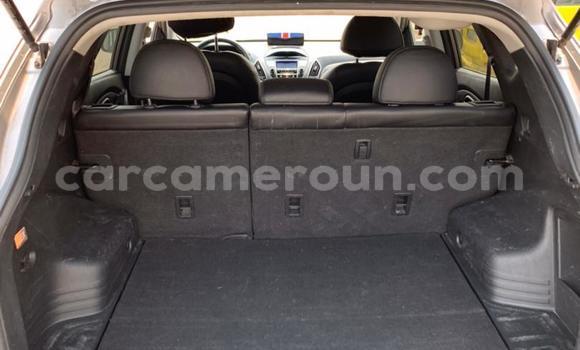 Buy Used Hyundai Tucson Brown Car in Douala in Littoral Cameroon Buy Used Hyundai Tucson Brown Car in Douala in Littoral Cameroon