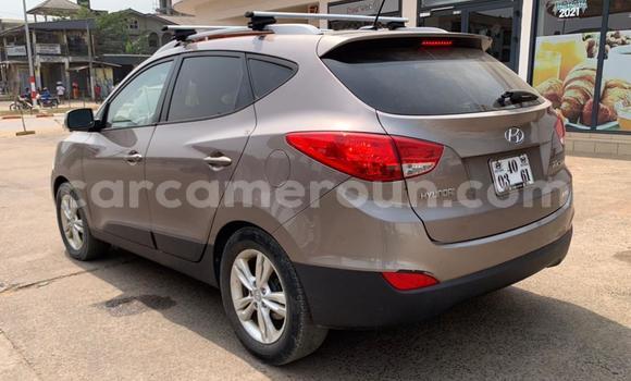 Buy Used Hyundai Tucson Brown Car in Douala in Littoral Cameroon Buy Used Hyundai Tucson Brown Car in Douala in Littoral Cameroon