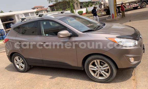 Buy Used Hyundai Tucson Brown Car in Douala in Littoral Cameroon Buy Used Hyundai Tucson Brown Car in Douala in Littoral Cameroon