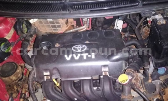 Buy New Toyota Yaris Red Car in Douala in Littoral Cameroon Buy New Toyota Yaris Red Car in Douala in Littoral Cameroon