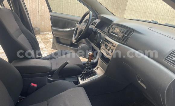 Buy Used Toyota Corolla Black Car in Douala in Littoral Cameroon Buy Used Toyota Corolla Black Car in Douala in Littoral Cameroon