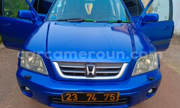 Buy Used Honda CR–V Blue Car in Yaounde in Central Cameroon Buy Used Honda CR–V Blue Car in Yaounde in Central Cameroon
