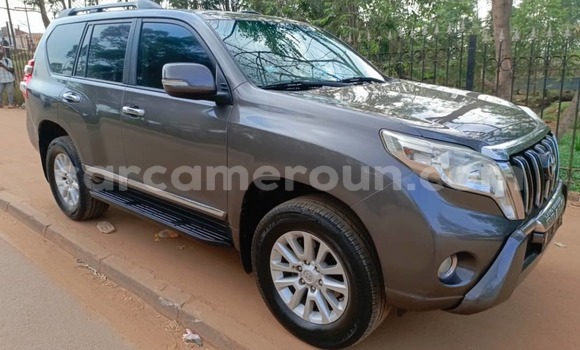 Sayi Na hannu Toyota Land Cruiser Prado Azurfa Mota in Yaounde a Babban Kamaru