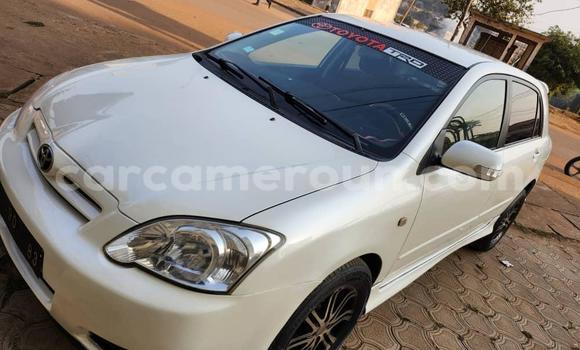 Acheter Occasion Voiture Toyota Runx Blanc à Yaoundé, Central Cameroon