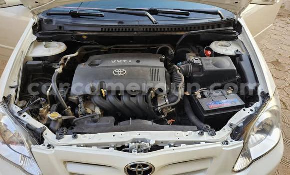 Sayi Na hannu Toyota Runx White Mota in Yaounde a Babban Kamaru Sayi Na hannu Toyota Runx White Mota in Yaounde a Babban Kamaru