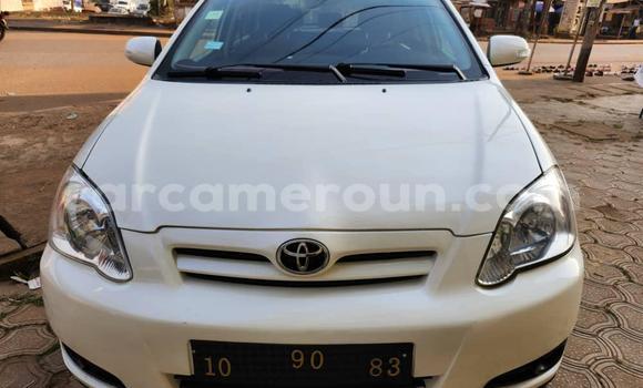 Sayi Na hannu Toyota Runx White Mota in Yaounde a Babban Kamaru Sayi Na hannu Toyota Runx White Mota in Yaounde a Babban Kamaru