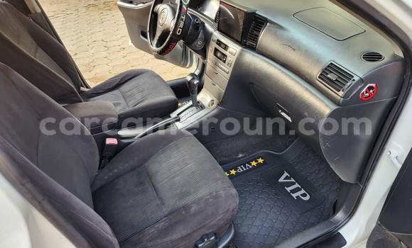 Sayi Na hannu Toyota Runx White Mota in Yaounde a Babban Kamaru Sayi Na hannu Toyota Runx White Mota in Yaounde a Babban Kamaru