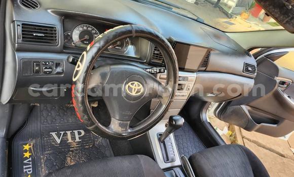 Sayi Na hannu Toyota Runx White Mota in Yaounde a Babban Kamaru Sayi Na hannu Toyota Runx White Mota in Yaounde a Babban Kamaru