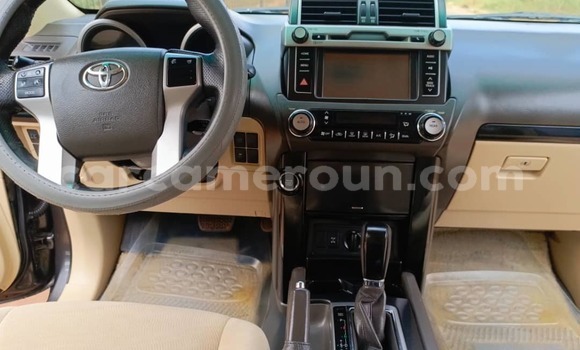 Sayi Na hannu Toyota Runx White Mota in Yaounde a Babban Kamaru Sayi Na hannu Toyota Runx White Mota in Yaounde a Babban Kamaru