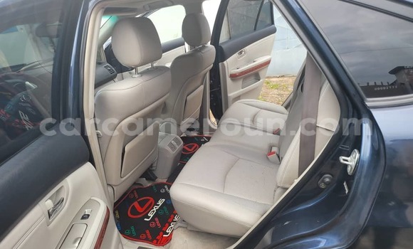 Buy Used Lexus RX 330 Silver Car in Yaounde in Central Cameroon Buy Used Lexus RX 330 Silver Car in Yaounde in Central Cameroon