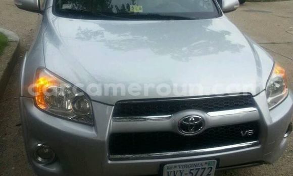 Acheter Occasion Voiture Toyota RAV4 Gris à Yaoundé, Central Cameroon Acheter Occasion Voiture Toyota RAV4 Gris à Yaoundé, Central Cameroon