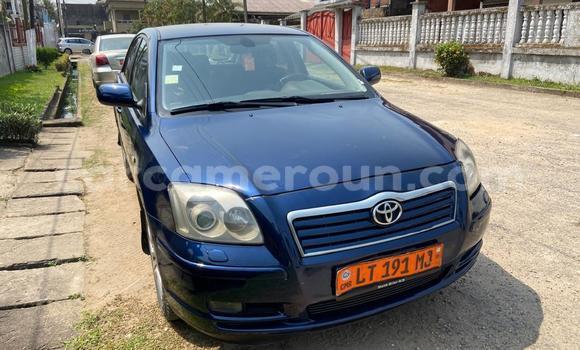 Sayi Na hannu Toyota Avensis Blue Mota in Douala a Ƙasar Kamaru