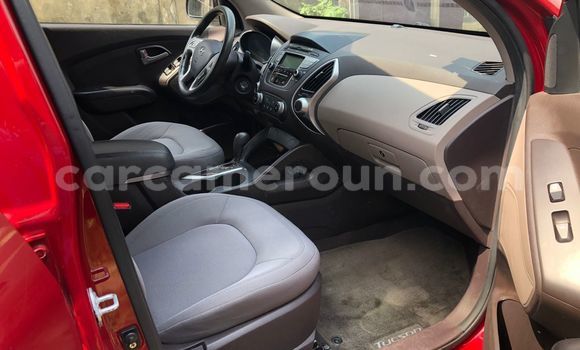 Buy Used Hyundai Tucson Red Car in Douala in Littoral Cameroon Buy Used Hyundai Tucson Red Car in Douala in Littoral Cameroon
