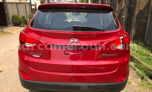 Buy Used Hyundai Tucson Red Car in Douala in Littoral Cameroon Buy Used Hyundai Tucson Red Car in Douala in Littoral Cameroon