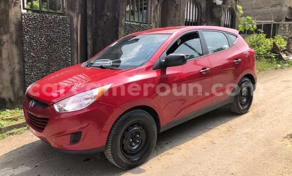 Buy Used Hyundai Tucson Red Car in Douala in Littoral Cameroon Buy Used Hyundai Tucson Red Car in Douala in Littoral Cameroon