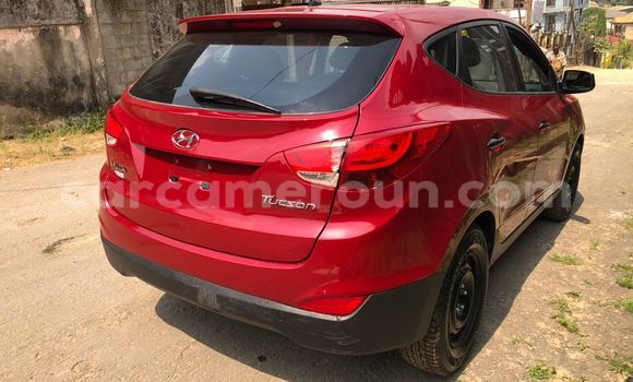 Buy Used Hyundai Tucson Red Car in Douala in Littoral Cameroon Buy Used Hyundai Tucson Red Car in Douala in Littoral Cameroon