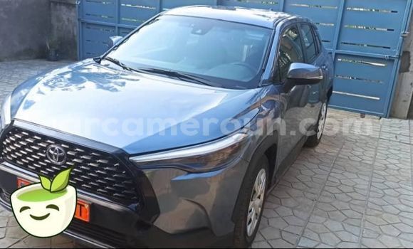 Buy Used Toyota Corolla Cross Blue Car in Douala in Littoral Cameroon