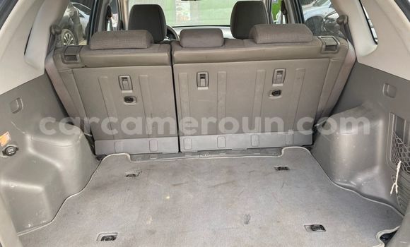 Sayi Na hannu Hyundai Tucson Green Mota in Douala a Ƙasar Kamaru Sayi Na hannu Hyundai Tucson Green Mota in Douala a Ƙasar Kamaru