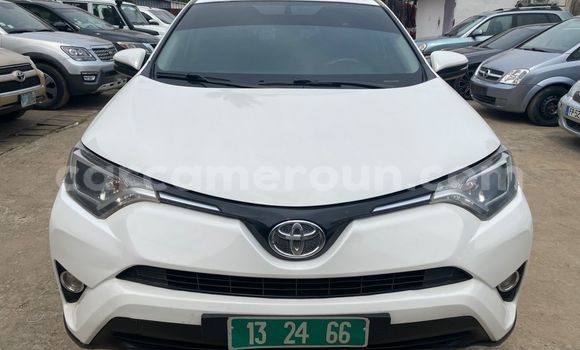Buy Used Toyota RAV4 White Car in Douala in Littoral Cameroon