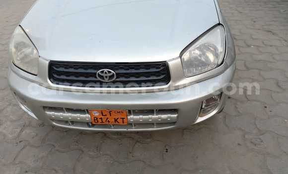 Acheter Occasion Voiture Toyota RAV4 Gris à Douala, Littoral Cameroon