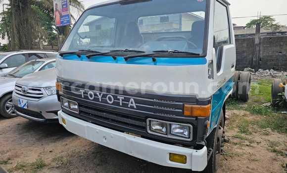 Sayi Imported Toyota Dyna Azurfa Babbar mota in Douala a Ƙasar Kamaru