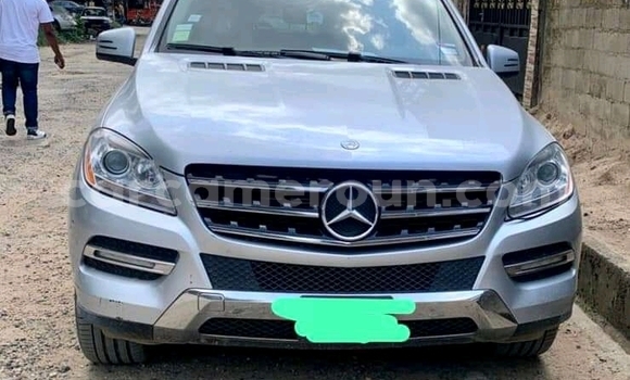 Acheter Occasion Voiture Mercedes‒Benz ML–Class Gris à Douala, Littoral Cameroon