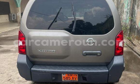 Acheter Occasion Voiture Nissan Navara Gris à Douala, Littoral Cameroon Acheter Occasion Voiture Nissan Navara Gris à Douala, Littoral Cameroon