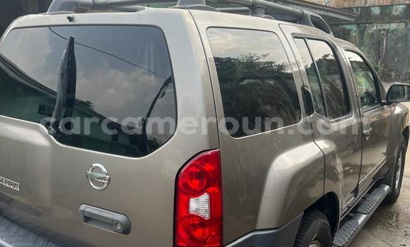 Acheter Occasion Voiture Nissan Navara Gris à Douala, Littoral Cameroon Acheter Occasion Voiture Nissan Navara Gris à Douala, Littoral Cameroon