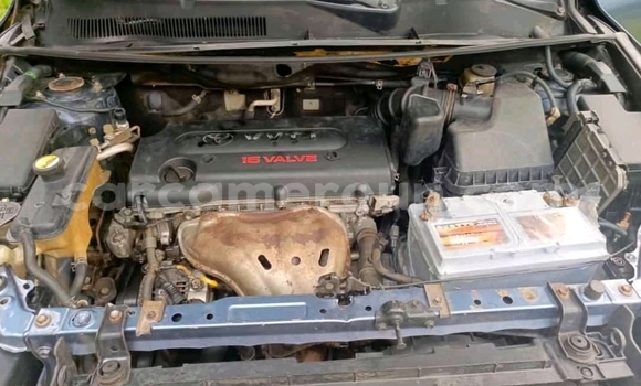 Sayi Na hannu Toyota RAV4 Blue Mota in Douala a Ƙasar Kamaru Sayi Na hannu Toyota RAV4 Blue Mota in Douala a Ƙasar Kamaru