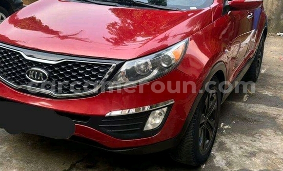 Acheter Import Voiture Kia Sportage Rouge à Douala, Littoral Cameroon