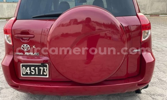 Buy Used Toyota RAV4 Red Car in Yaounde in Central Cameroon Buy Used Toyota RAV4 Red Car in Yaounde in Central Cameroon