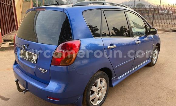 Buy Used Toyota Avensis Blue Car in Yaounde in Central Cameroon Buy Used Toyota Avensis Blue Car in Yaounde in Central Cameroon