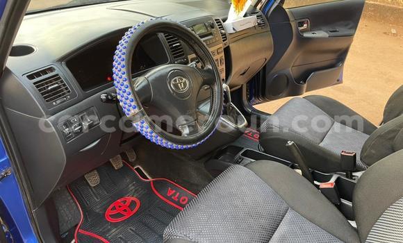 Buy Used Toyota Avensis Blue Car in Yaounde in Central Cameroon Buy Used Toyota Avensis Blue Car in Yaounde in Central Cameroon