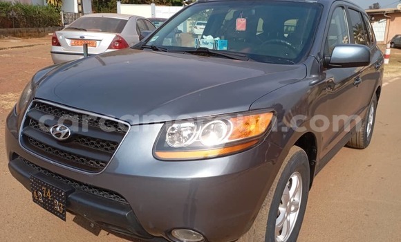 Buy Used Hyundai Santa Fe Silver Car in Yaounde in Central Cameroon