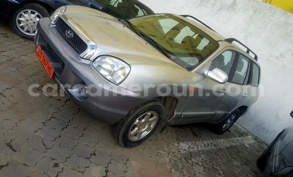 Sayi Na hannu Hyundai Santa Fe Azurfa Mota in Douala a Ƙasar Kamaru