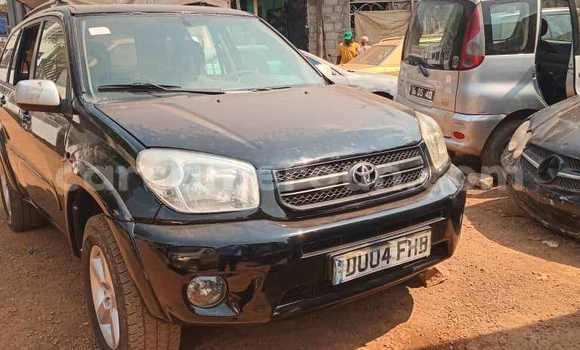 Buy Used Toyota RAV4 Black Car in Yaounde in Central Cameroon