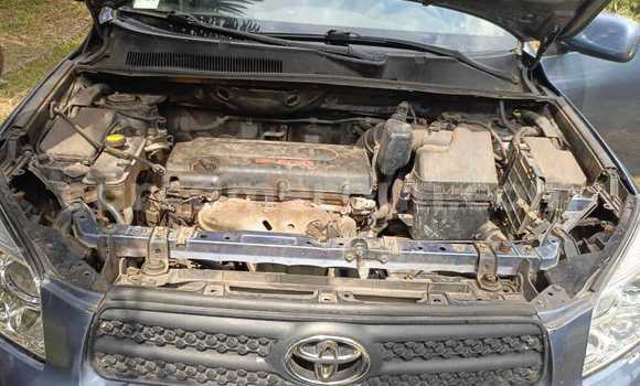 Buy Used Toyota RAV4 Silver Car in Douala in Littoral Cameroon Buy Used Toyota RAV4 Silver Car in Douala in Littoral Cameroon