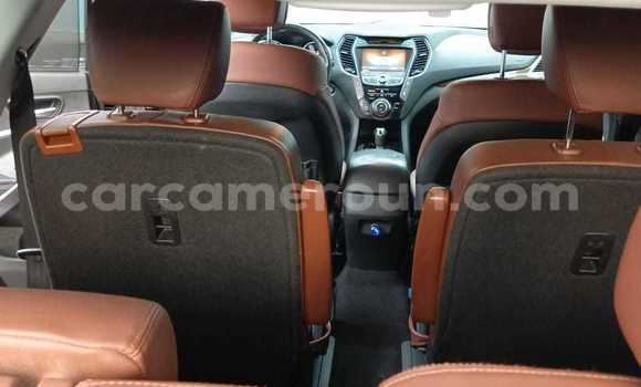 Buy Used Hyundai Santa Fe Black Car in Douala in Littoral Cameroon