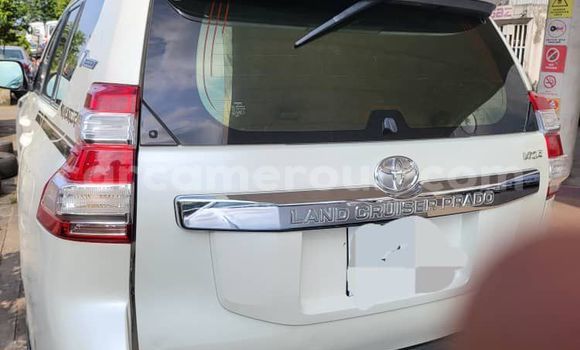 Acheter Occasion Voiture Toyota Prado Blanc à Douala, Littoral Cameroon