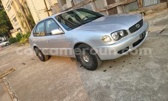 Sayi Imported Toyota Corolla Azurfa Mota in Douala a Ƙasar Kamaru