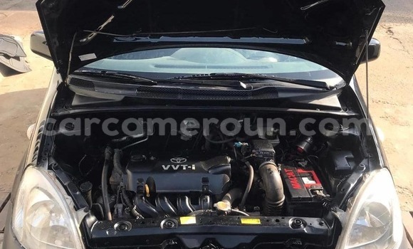 Buy Used Toyota Yaris Black Car in Douala in Littoral Cameroon Buy Used Toyota Yaris Black Car in Douala in Littoral Cameroon