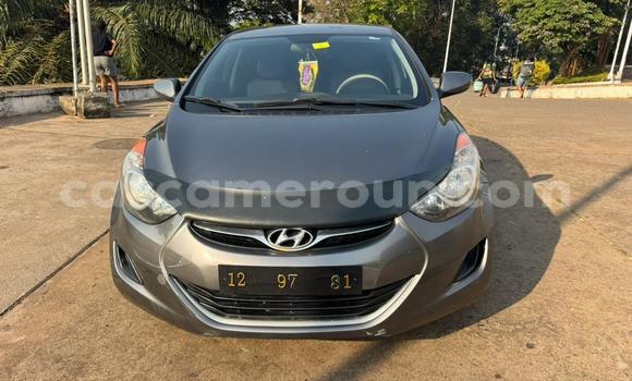 Buy Used Hyundai Elantra Silver Car in Yaounde in Central Cameroon Buy Used Hyundai Elantra Silver Car in Yaounde in Central Cameroon