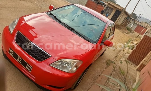 Acheter Occasion Voiture Toyota Corolla Rouge à Yaoundé, Central Cameroon Acheter Occasion Voiture Toyota Corolla Rouge à Yaoundé, Central Cameroon