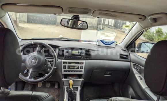 Sayi Na hannu Toyota Corolla Sauran Mota in Douala a Ƙasar Kamaru Sayi Na hannu Toyota Corolla Sauran Mota in Douala a Ƙasar Kamaru