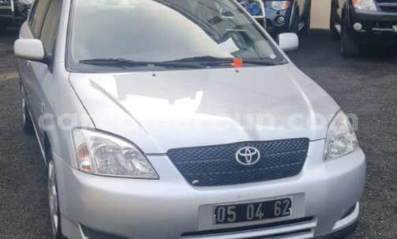 Acheter Occasion Voiture Toyota Corolla Gris à Douala, Littoral Cameroon