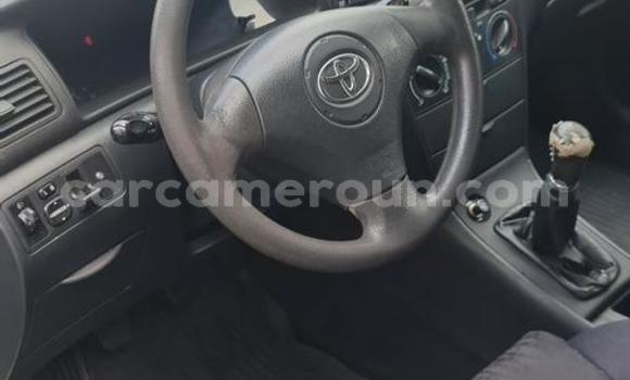 Acheter Occasion Voiture Toyota Corolla Gris à Douala, Littoral Cameroon Acheter Occasion Voiture Toyota Corolla Gris à Douala, Littoral Cameroon