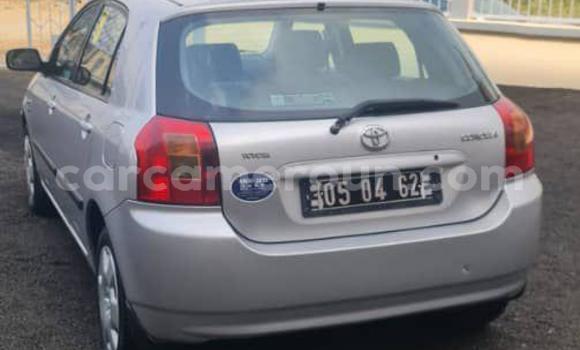 Acheter Occasion Voiture Toyota Corolla Gris à Douala, Littoral Cameroon Acheter Occasion Voiture Toyota Corolla Gris à Douala, Littoral Cameroon