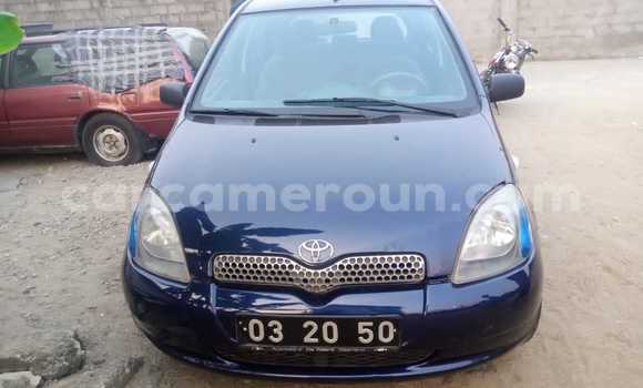 Buy Used Toyota Yaris Blue Car in Douala in Littoral Cameroon
