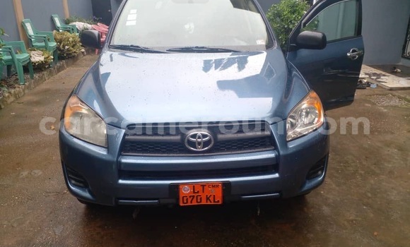 Buy New Toyota RAV4 Blue Car in Douala in Littoral Cameroon